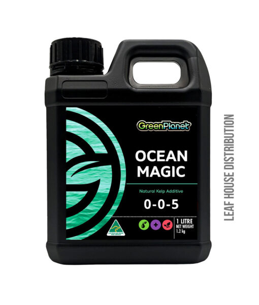 Ocean Magic