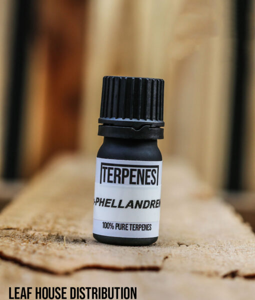 Alpha-Phellandrene – Terpene Isolate – 5ml