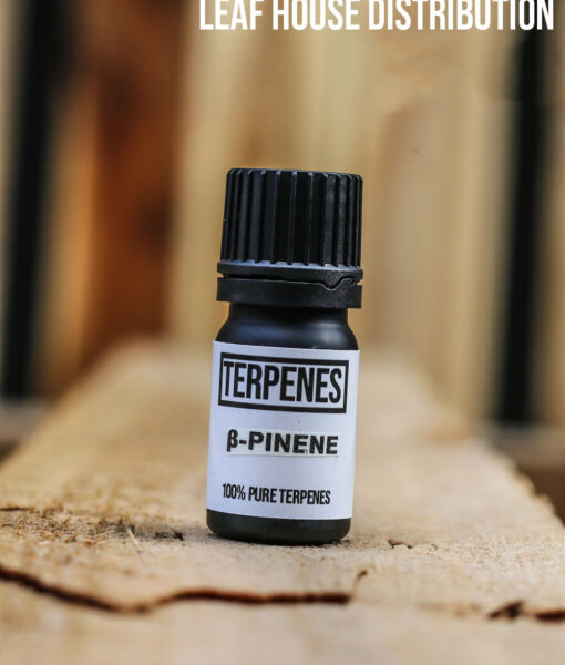Beta-Pinene - Terpene Isolate - 5ml