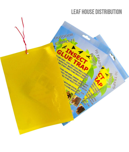 Insect Glue Traps - 10 pack