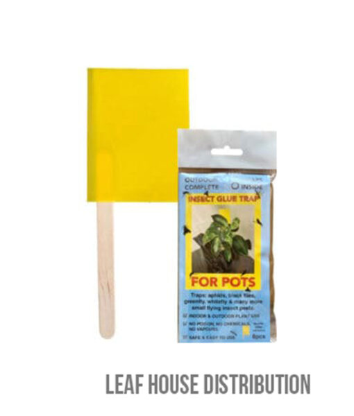 Insect Glue Traps for Pots - 8 pack